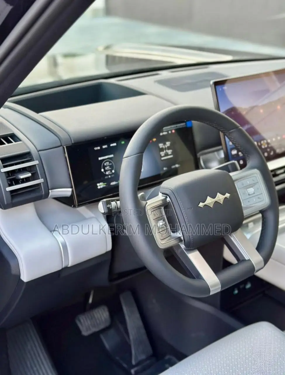 New BYD Leopard 7 2025 Gray