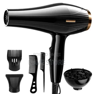 Pro Professiona L Hairdryer