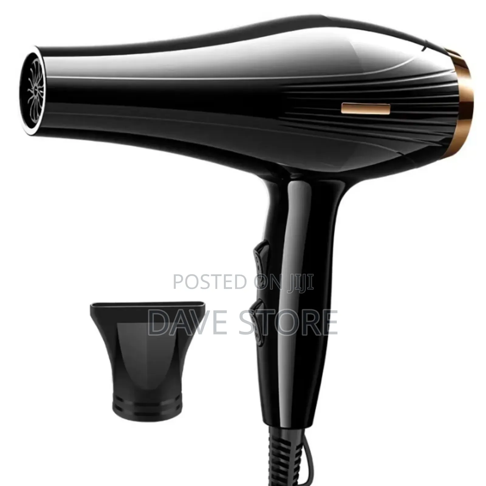 Pro Professiona L Hairdryer