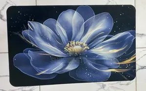 Exotic Look Super Absorbant Bathroom Rugs