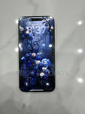 Apple iPhone 15 Pro Max 256 GB Black