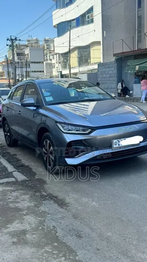 BYD E2 43 kWh 94 hp FWD 2024 Gray