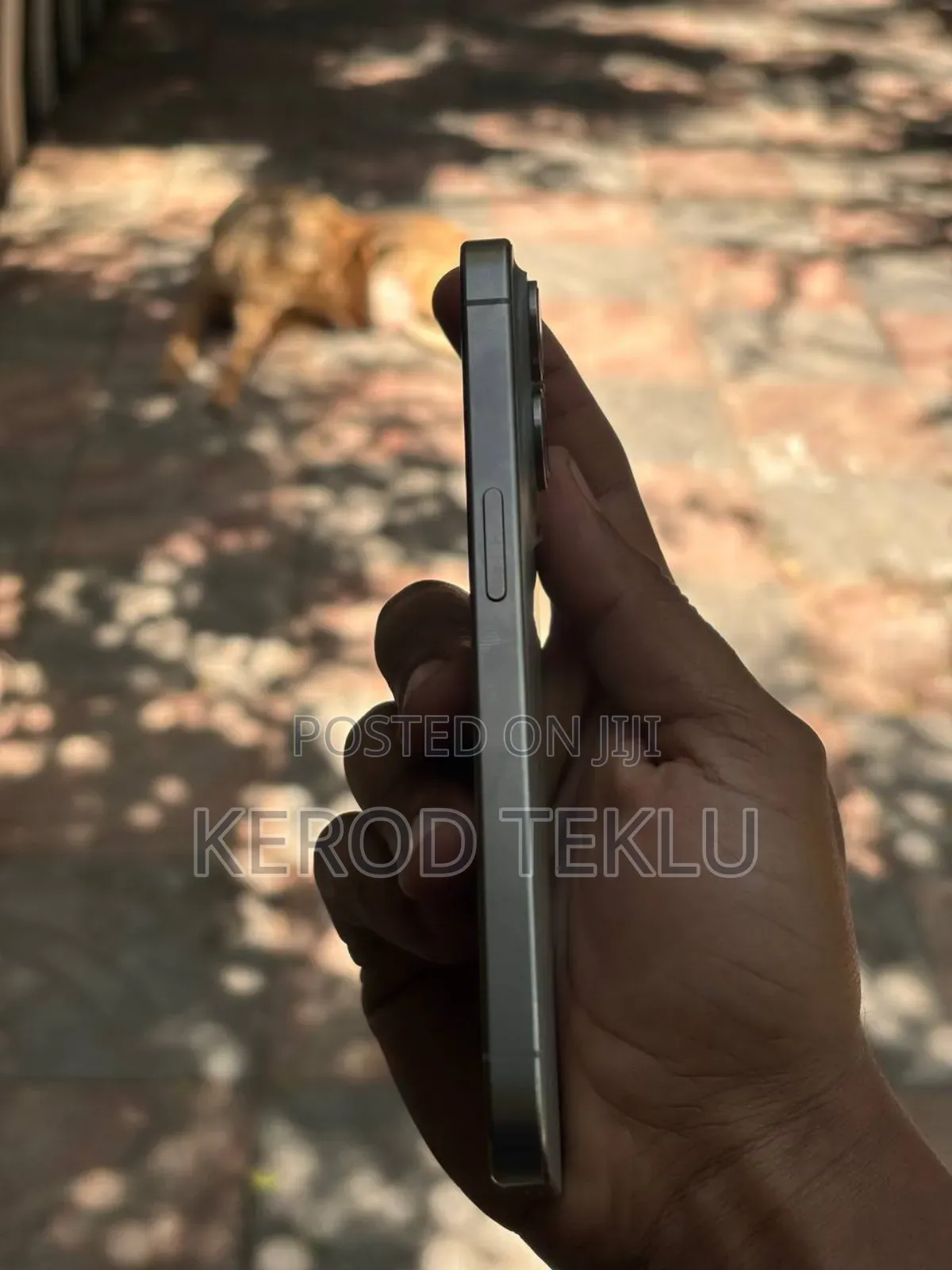 Apple iPhone 15 Pro 256 GB Silver