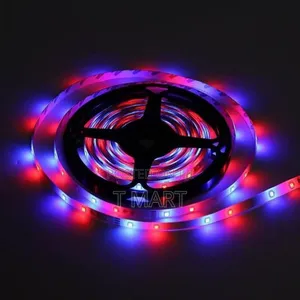 Super Bright 5m Led Strip Light