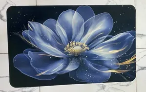 Super Absorbant Bathroom Rugs