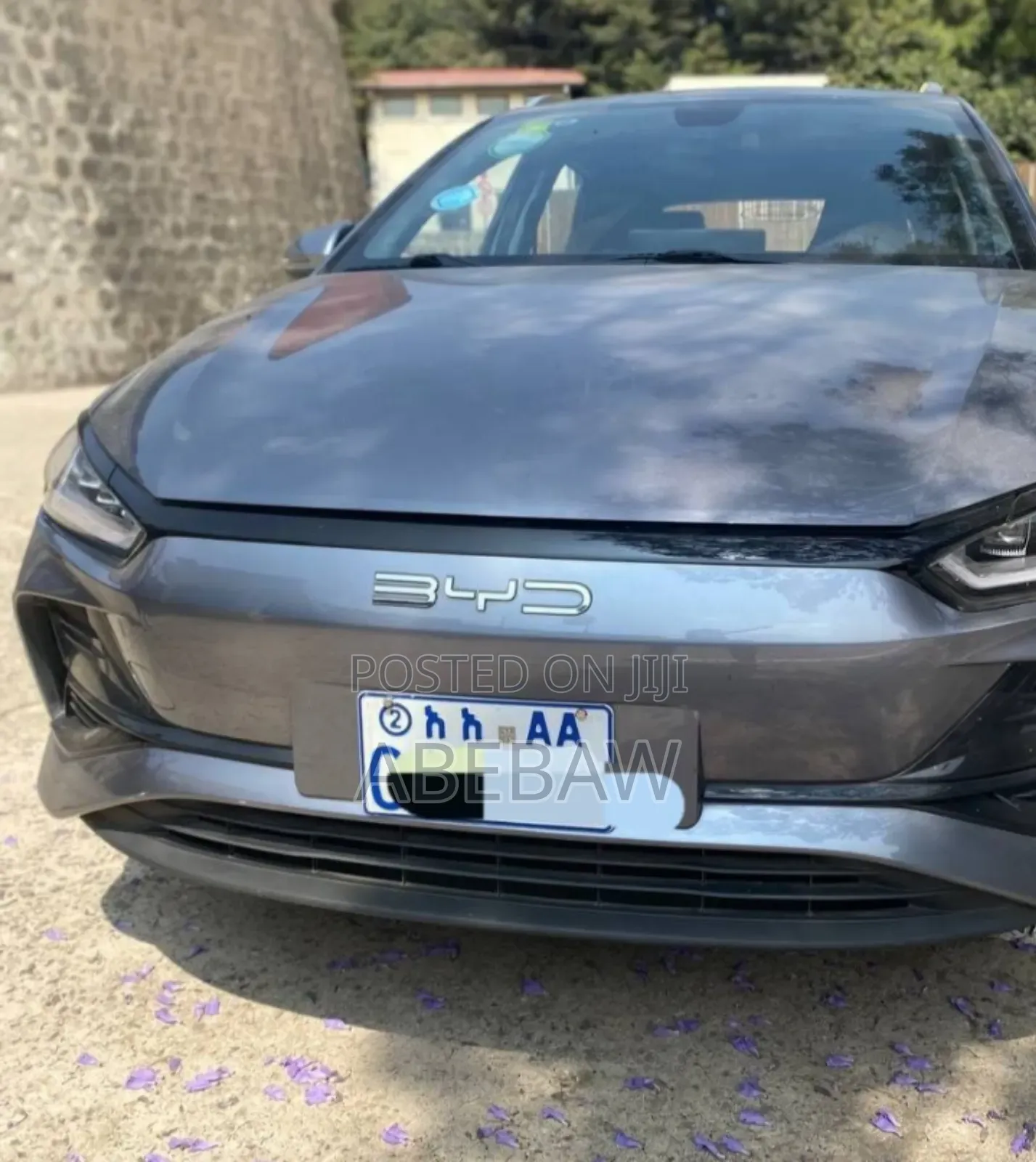 BYD E2 43 kWh 94 hp FWD 2024 Gray