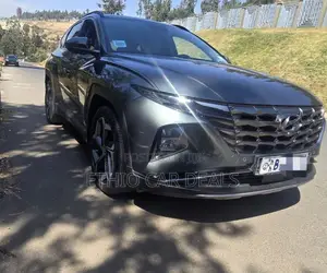 Hyundai Tucson Ultimate 2021 Gray