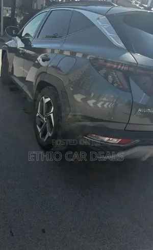 Hyundai Tucson Ultimate 2021 Gray