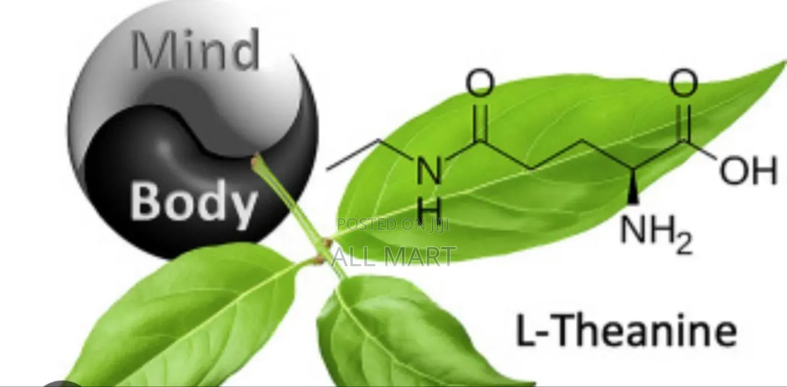 L-Theanine (Nature Made)