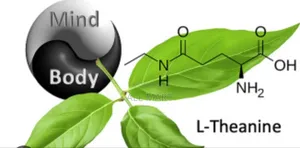 L-Theanine (Nature Made)