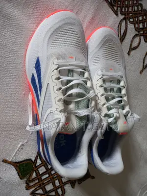 Reebok Brand New Shoes