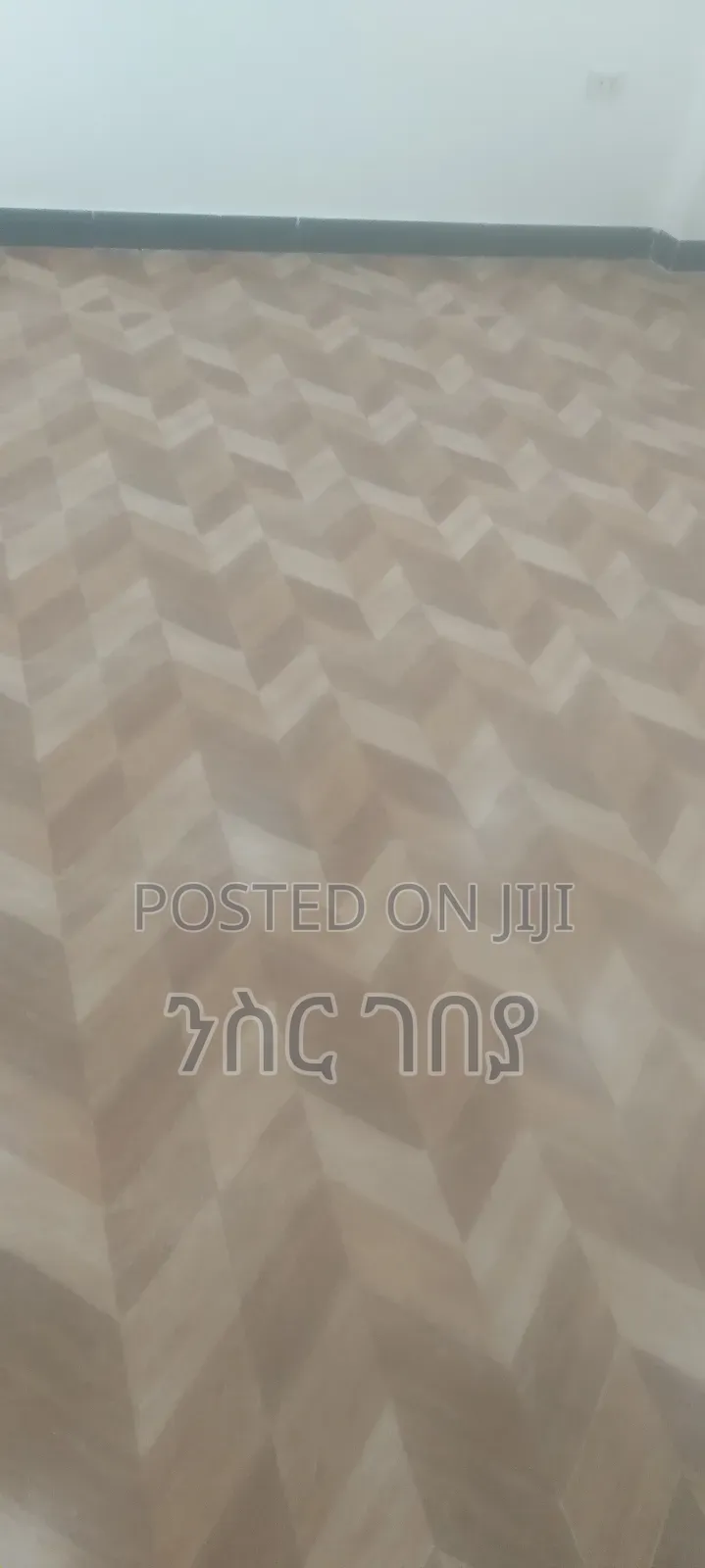 Furnished 1bdrm Condo in Ayat Tsebel, Yeka for rent