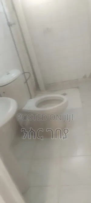 Furnished 1bdrm Condo in Ayat Tsebel, Yeka for rent