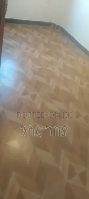 Furnished 1bdrm Condo in Ayat Tsebel, Yeka for rent