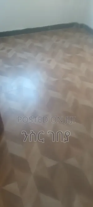 Furnished 1bdrm Condo in Ayat Tsebel, Yeka for rent