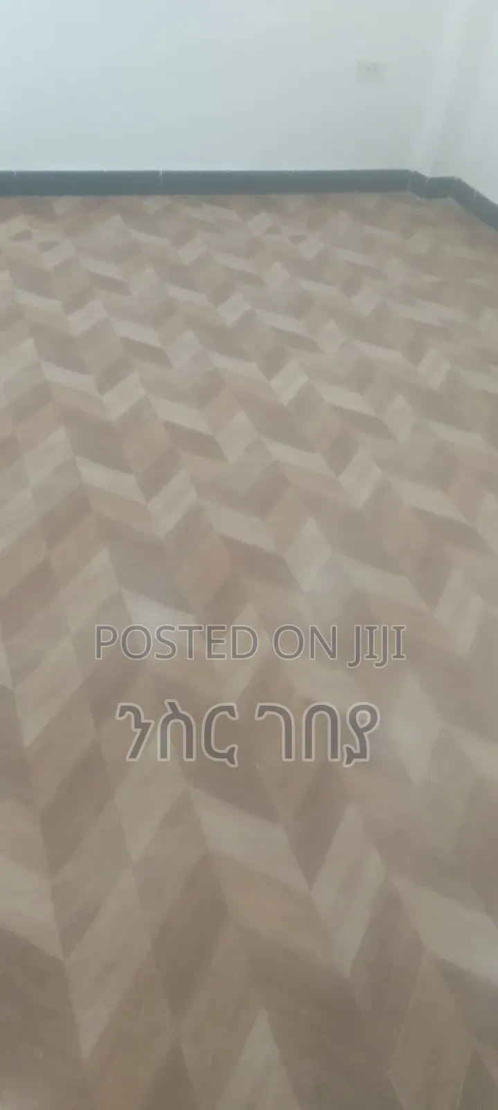 Furnished 1bdrm Condo in Ayat Tsebel, Yeka for rent