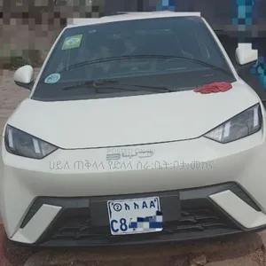 BYD Seagull 2024 Gold