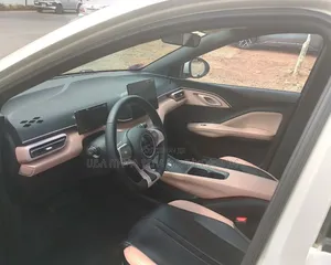 BYD Seagull 2024 Gold