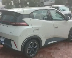 BYD Seagull 2024 Gold