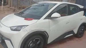 BYD Seagull 2024 Gold