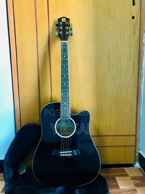 Vangao Semi Acoustic Guitar