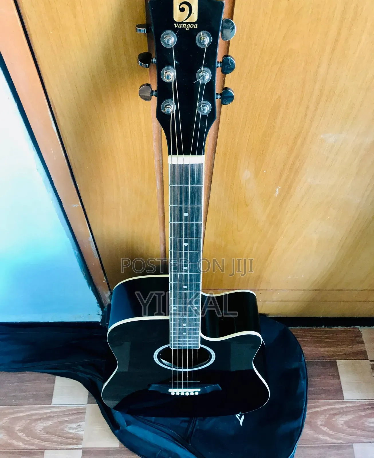 Vangao Semi Acoustic Guitar