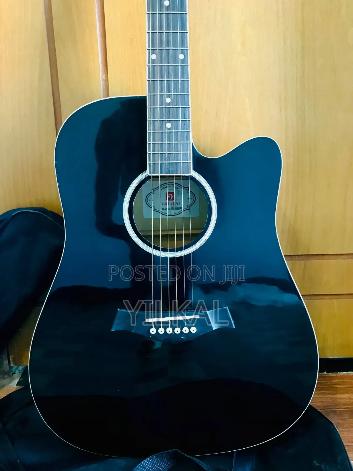 Vangao Semi Acoustic Guitar