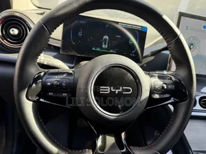 BYD E2 43 kWh 94 hp FWD 2024 Gray