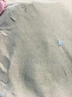 የአማሮ ደረጃ 1 ጤፍ