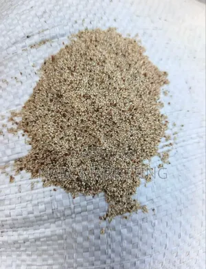 የአማሮ ደረጃ 1 ጤፍ