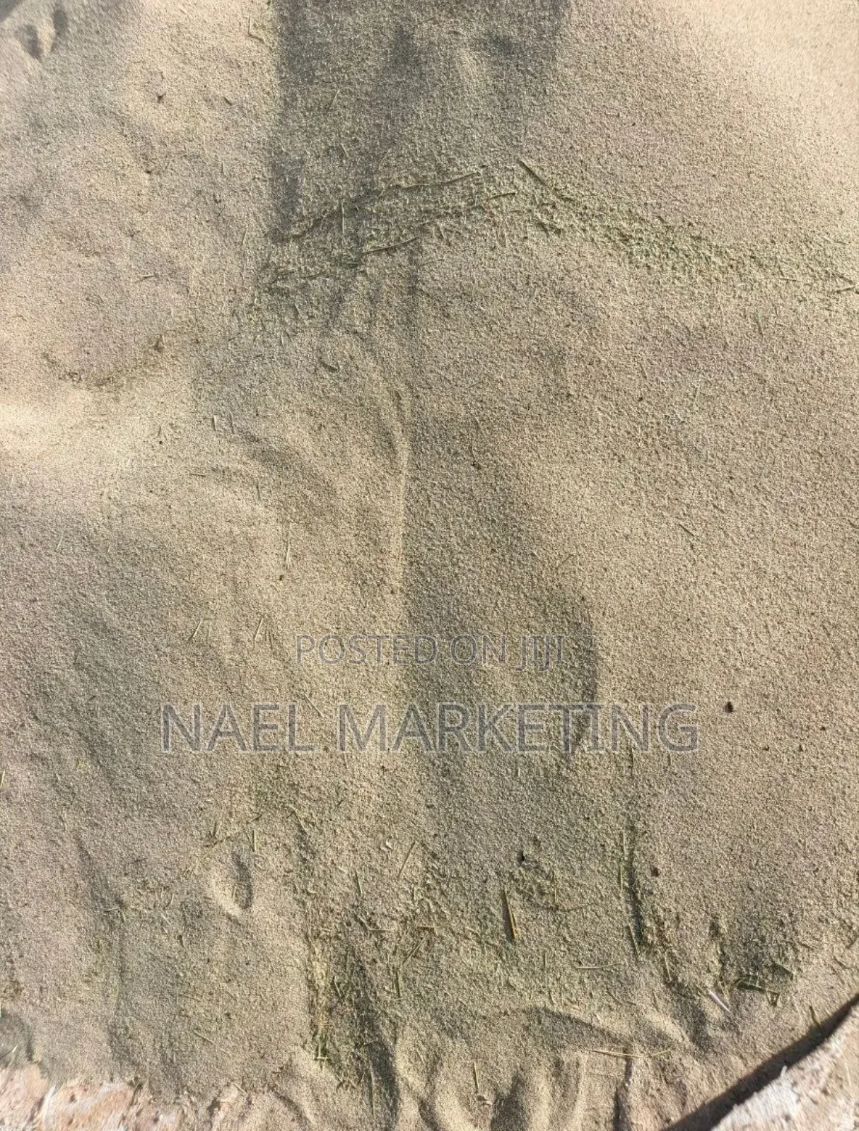 የአማሮ ደረጃ 1 ጤፍ