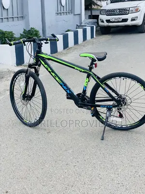 Phoenix Bicycle Mountain 26 Inch