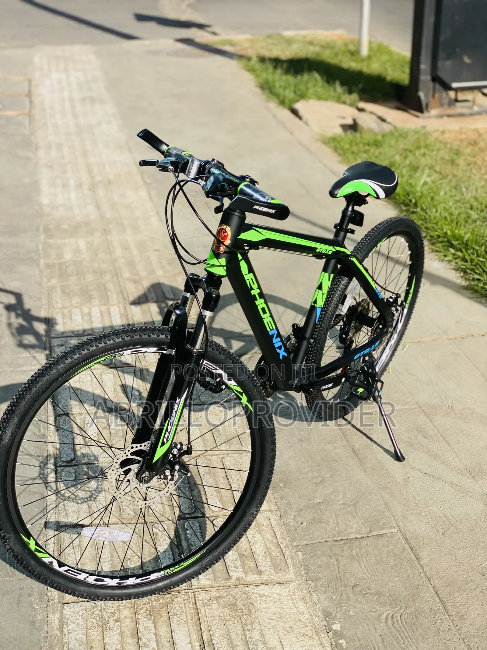 Phoenix Bicycle Mountain 26 Inch