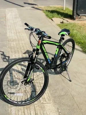 Phoenix Bicycle Mountain 26 Inch