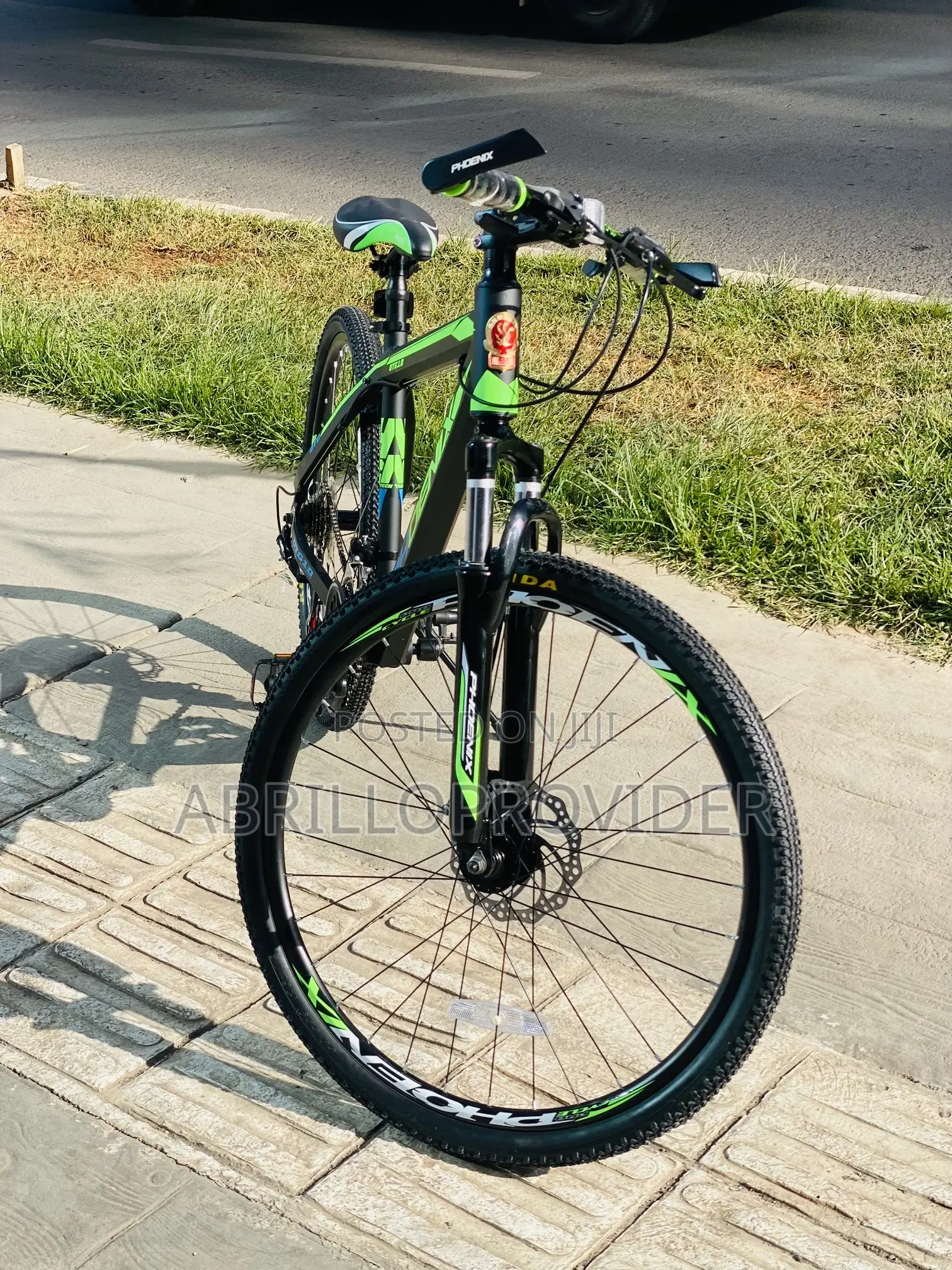 Phoenix Bicycle Mountain 26 Inch