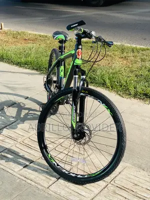 Phoenix Bicycle Mountain 26 Inch