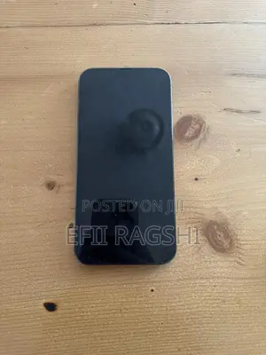 New Apple iPhone 13 Pro Max 128 GB Green