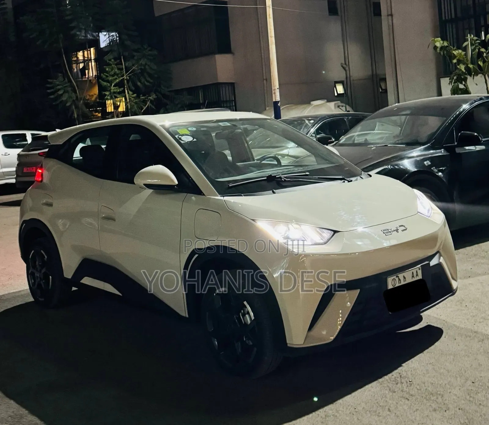 BYD Seagull 2025 White