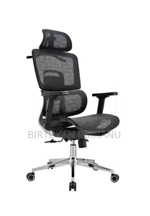 Flexible Ergonomic Office Chair