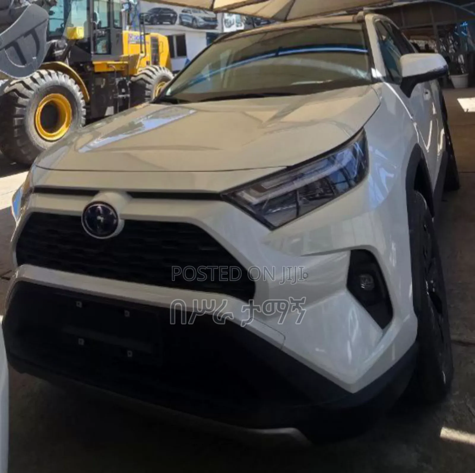 New Toyota RAV4 Limited FWD 2024 White