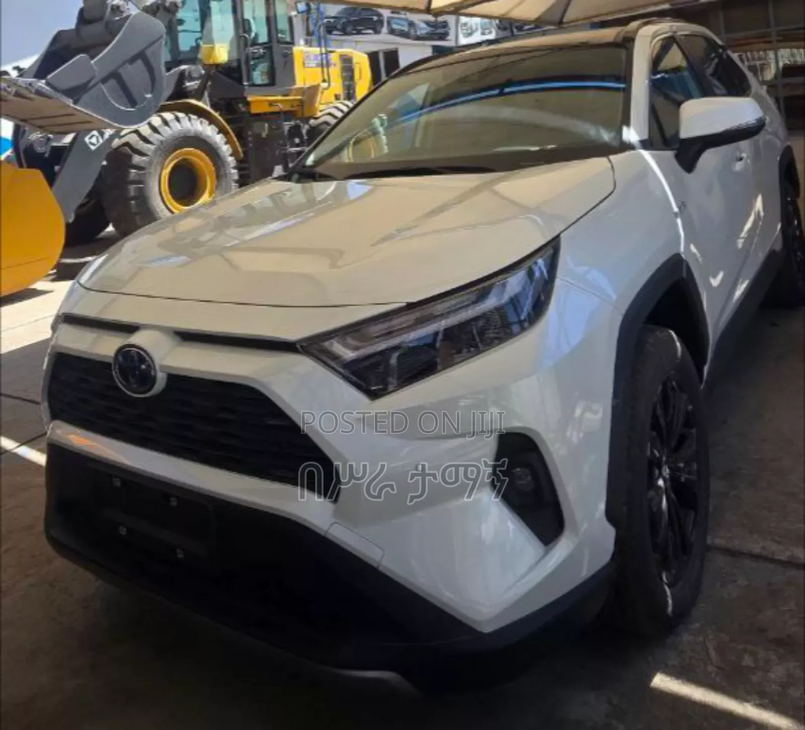 New Toyota RAV4 Limited FWD 2024 White