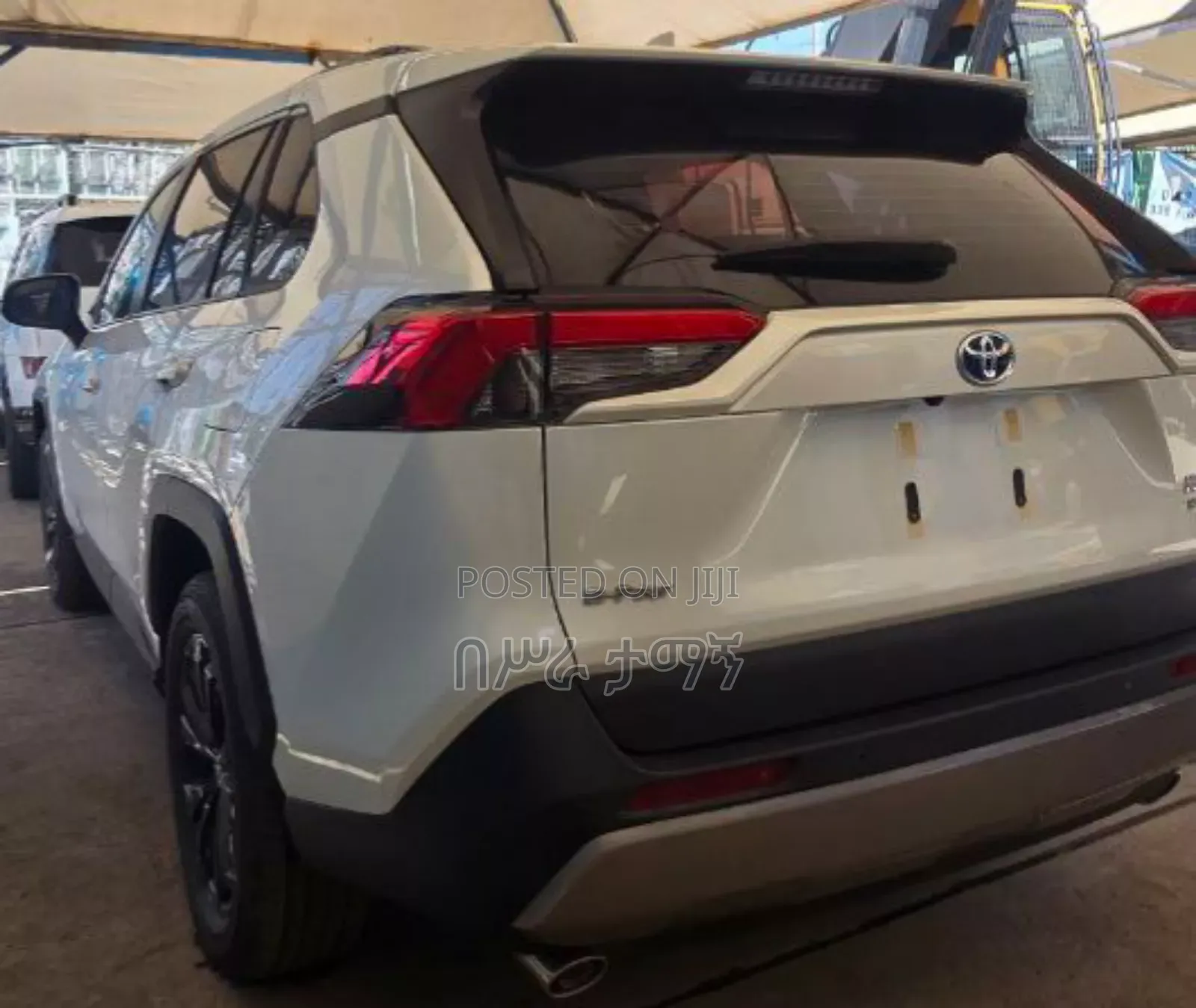 New Toyota RAV4 Limited FWD 2024 White