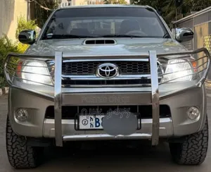 Toyota Hilux 2.0 VVT-i 2010 Gold