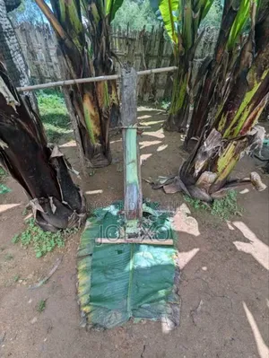 ቡላ ቆንጆ የወላይታ ቡላ