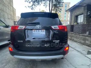 Toyota RAV4 XLE 4dr SUV AWD (2.5L 4cyl 6A) 2015 Brown