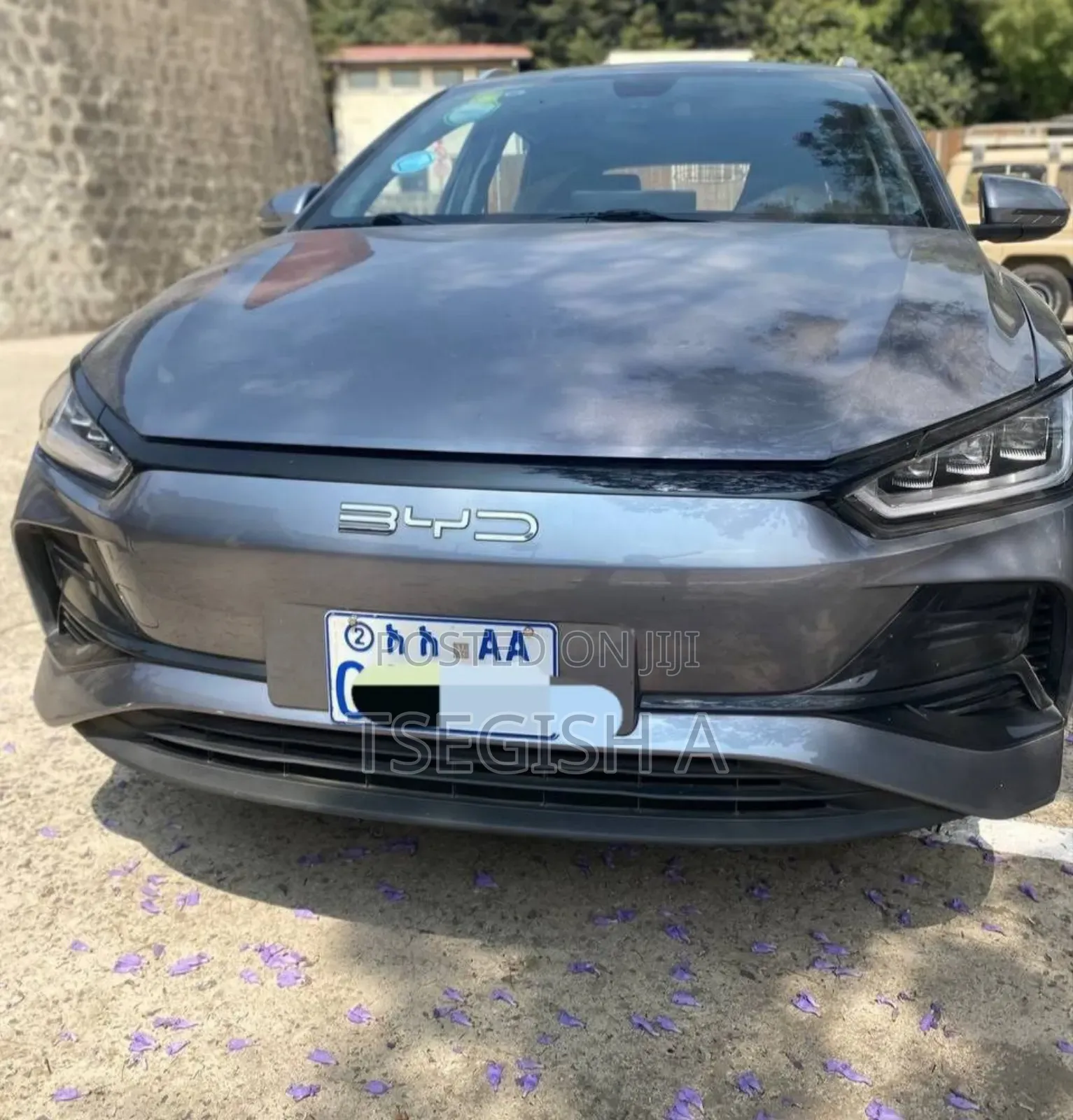 New BYD E2 43 kWh 94 hp FWD 2024 Gray