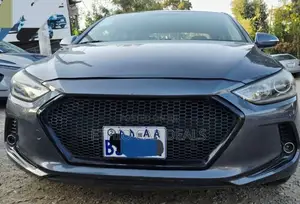 Hyundai Elantra 2016 Blue