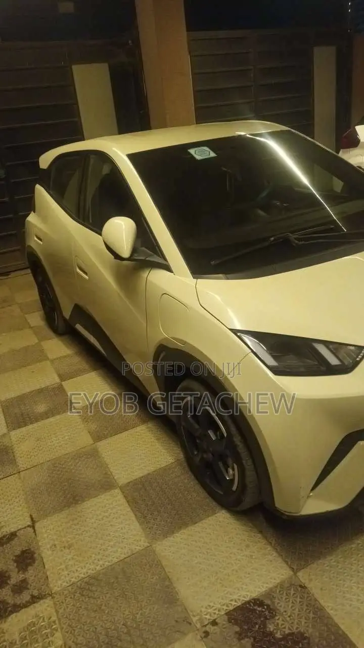 BYD Seagull 2024 White