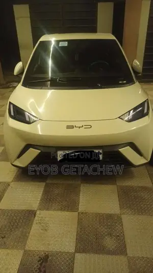 BYD Seagull 2024 White