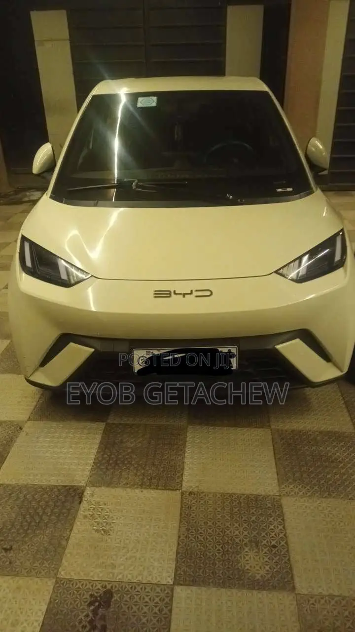 BYD Seagull 2024 White